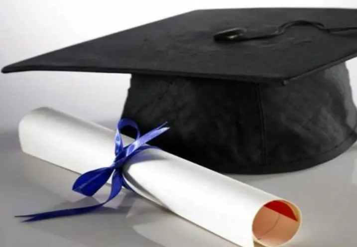 A Comprehensive Guide to Scholarships in Germany for International Students